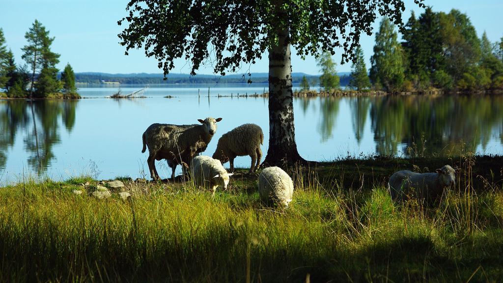 Lits Camping, Stugby Och Kanot Luaran gambar